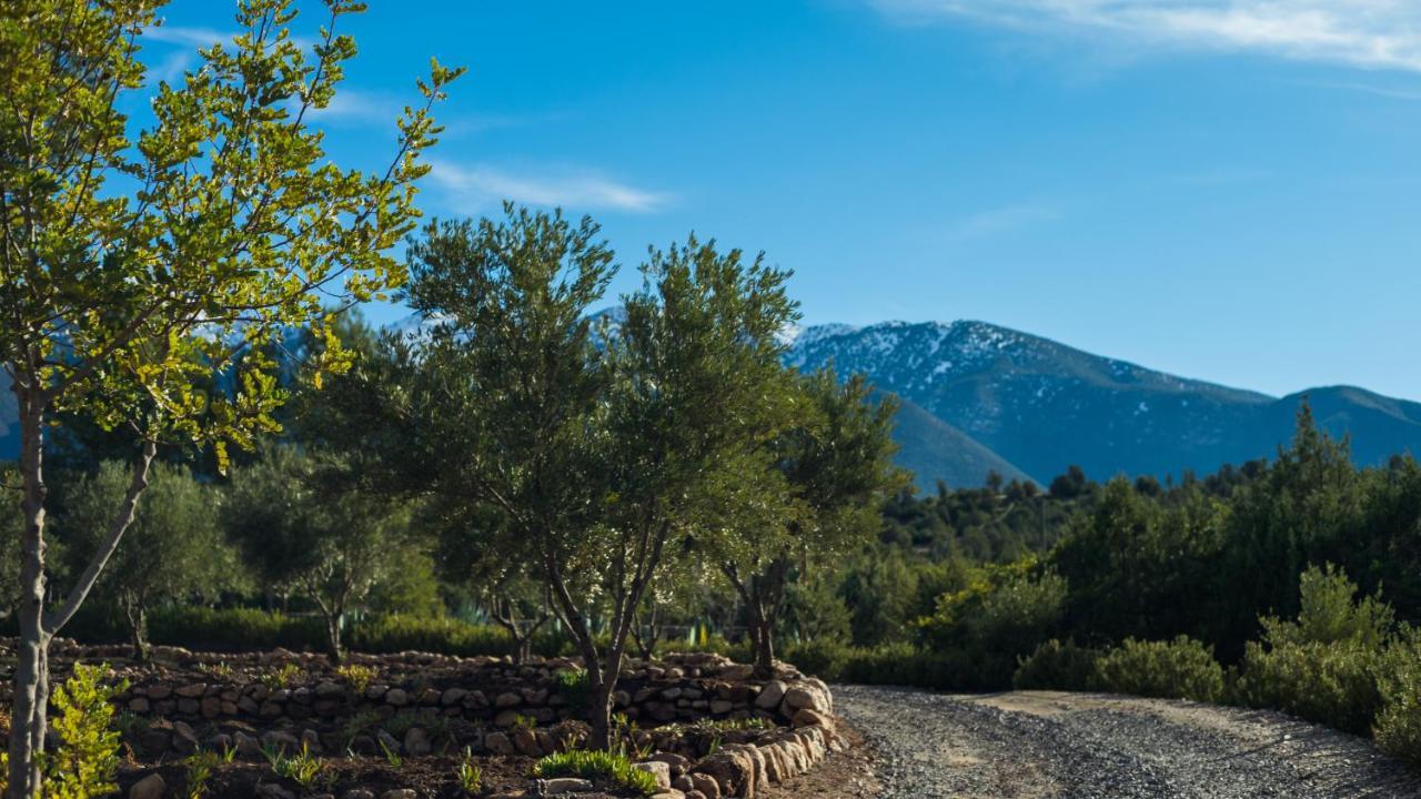 La Bergerie Auberge & Restaurant Ouirgane Dış mekan fotoğraf