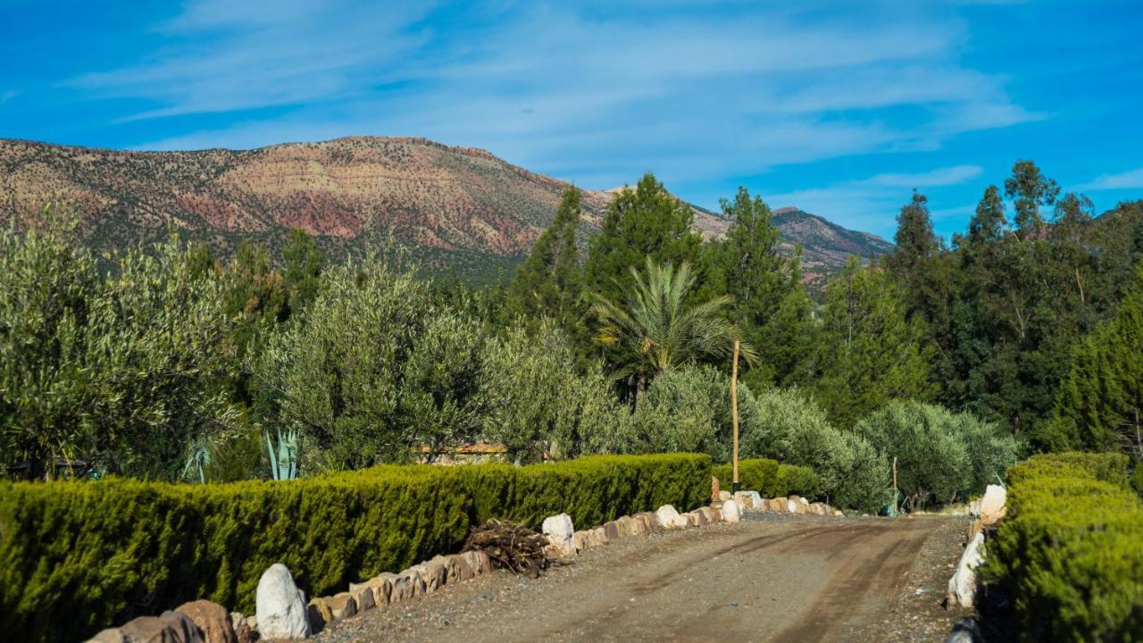 La Bergerie Auberge & Restaurant Ouirgane Dış mekan fotoğraf
