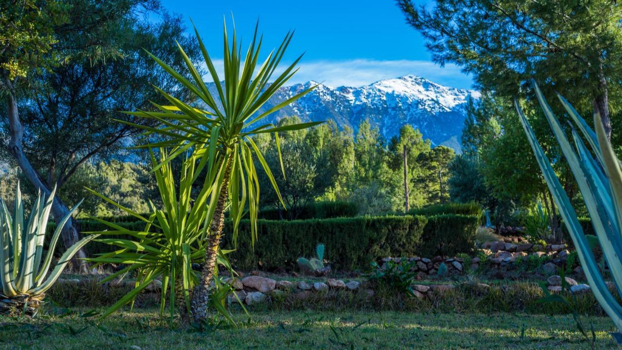 La Bergerie Auberge & Restaurant Ouirgane Dış mekan fotoğraf